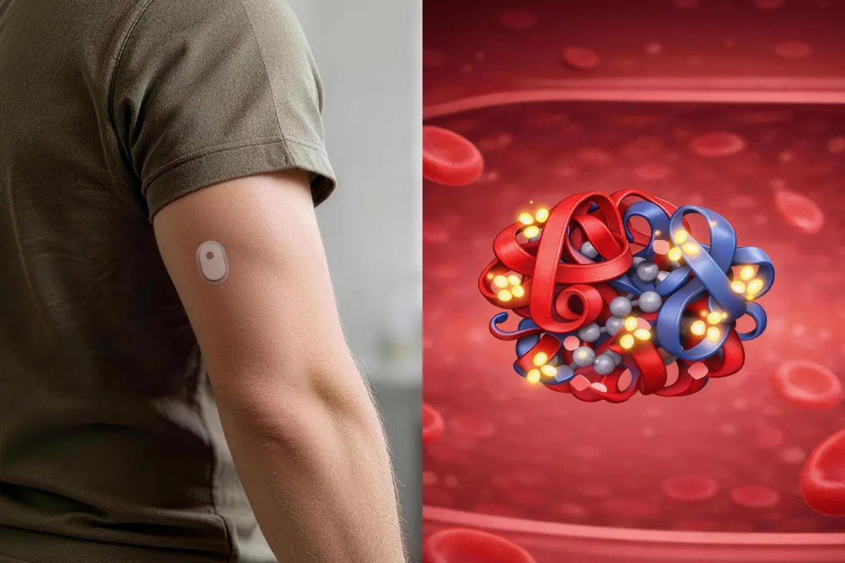 CGM GMI VS A1C: Which Number Actually Matters? - SIBIONICS